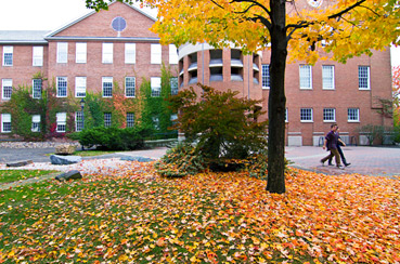 Students on a campus lawn.